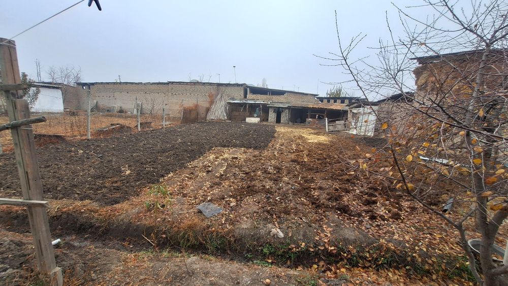 Продаётся дом в куйчирчикском раёне.