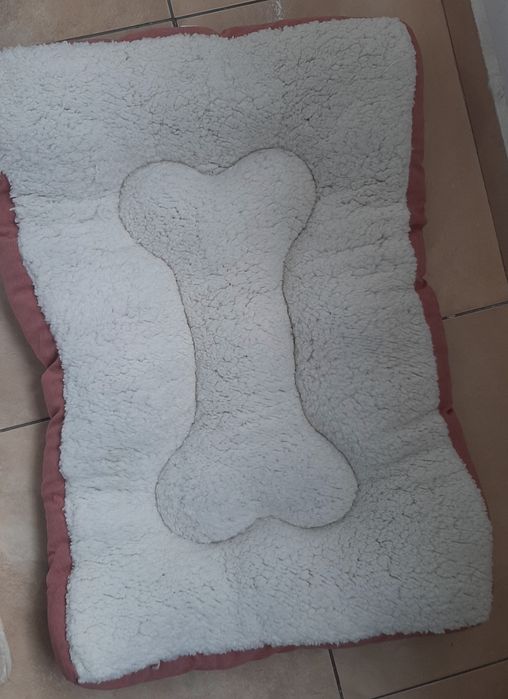 Pat animale de companie