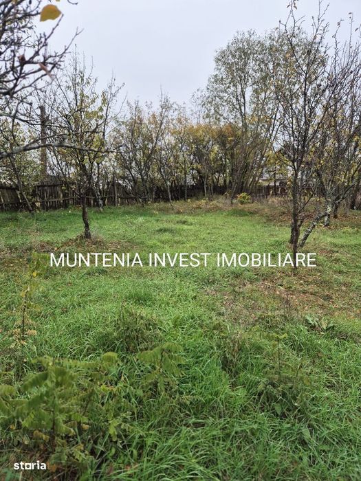 Teren 4276 . Albota, sat Mareș