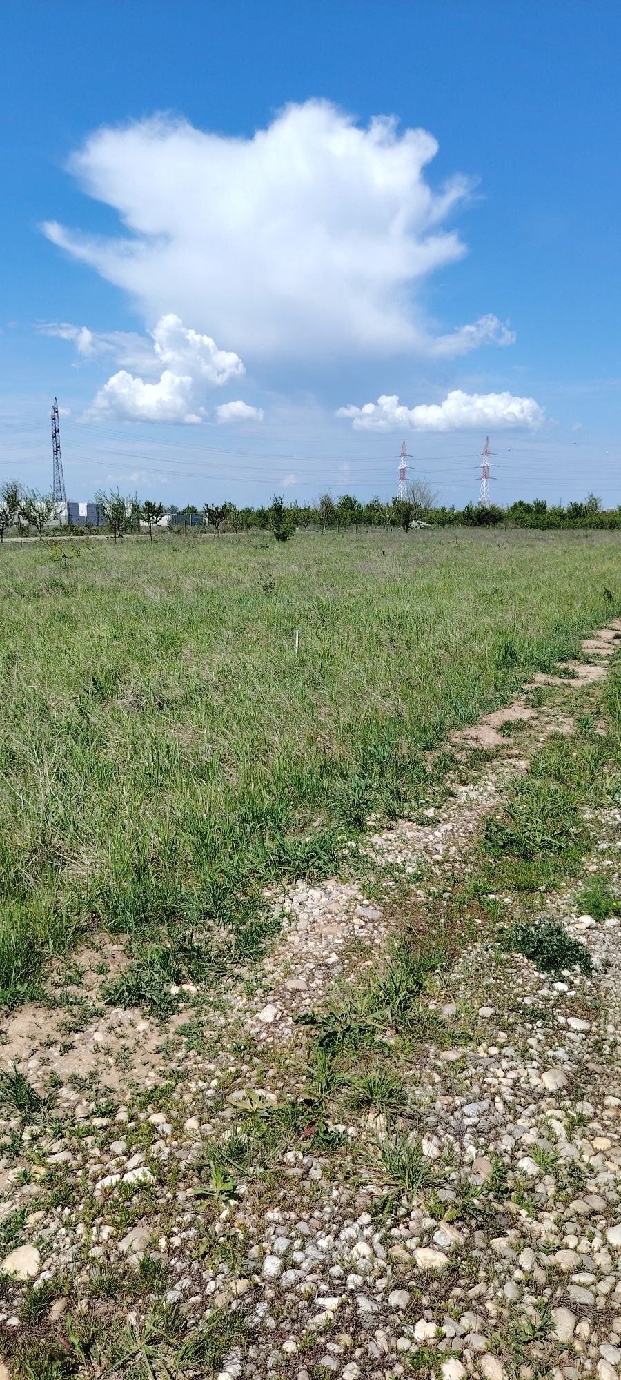 Lot teren intravilan Milcovu din Deal loc casa
