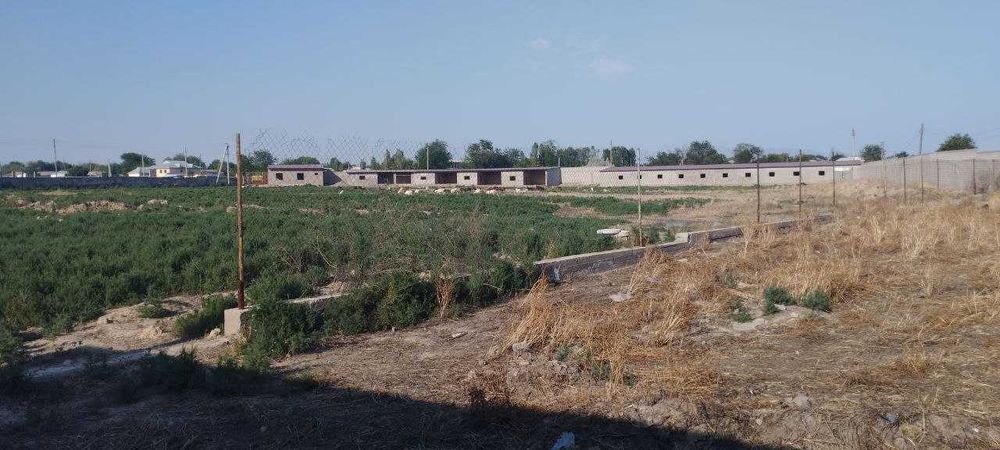Чорвачилик фермаси сотилади