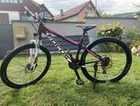 Bicicleta Focus whistler elite 27