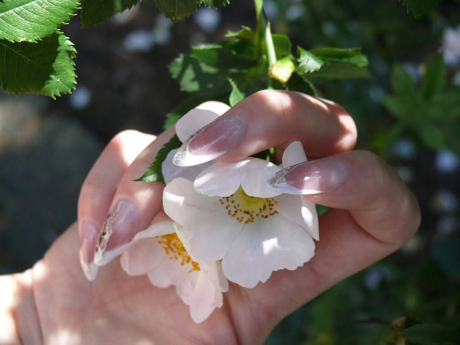 Aplic unghii cu gel,polygel și ojă semipermanentă