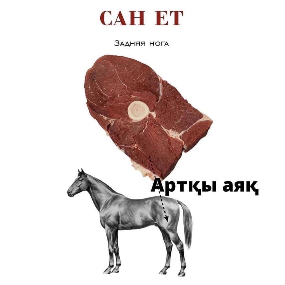 Конин Жылқы еті соғым қазы казы с Нарынкола доставка без ГМО и укола