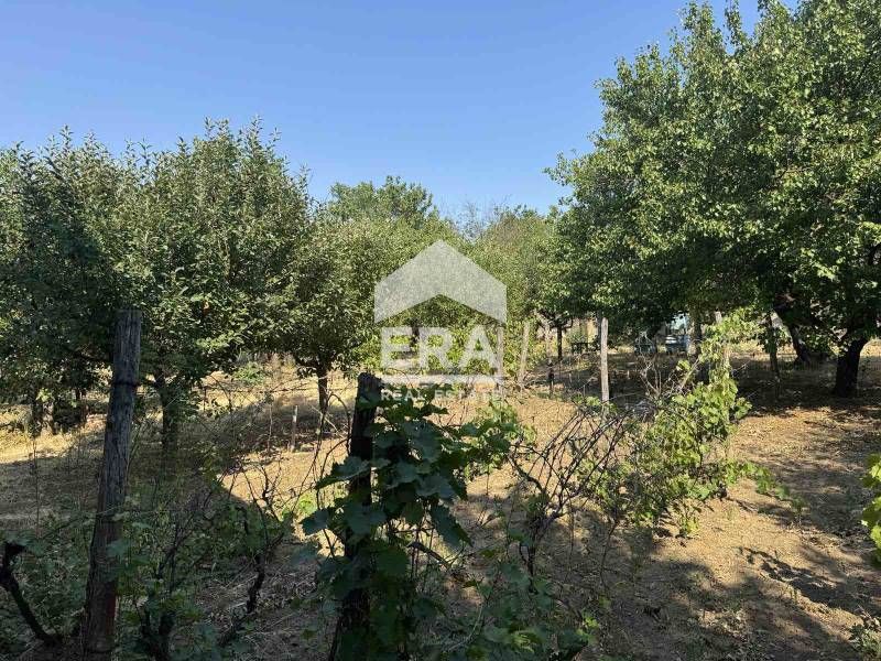 Продава се Къща в с. Сребърна, Област Силистра - 60 кв.м за 767 €/кв.м - Снимка #8