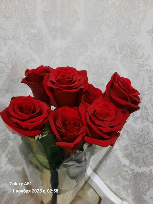 Роза  метровой 7штук