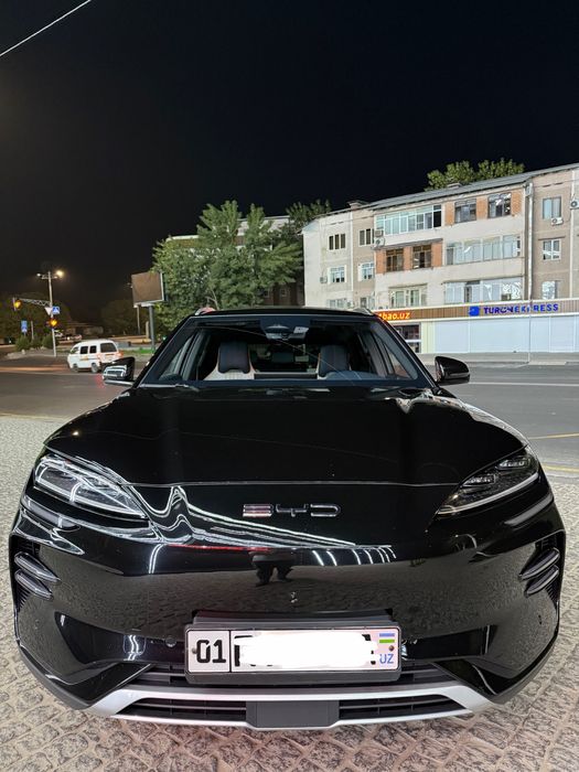 Byd champion honor 2024