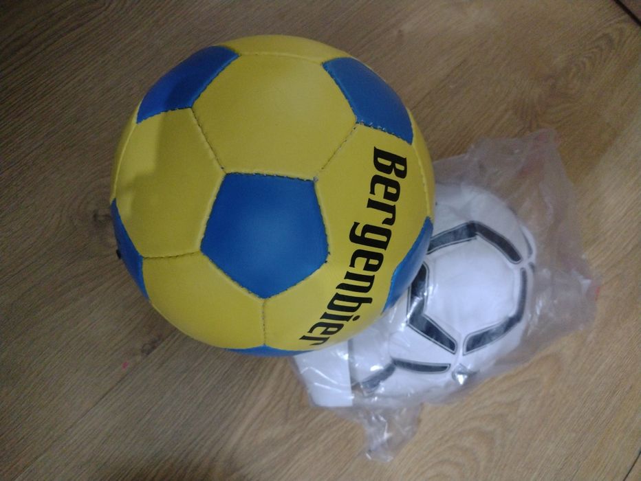 Rucsac diferite modele și culori de iarna