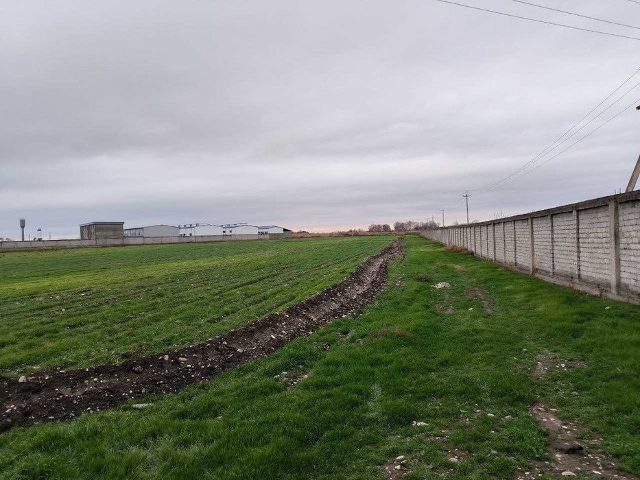 Surum, Bag'ishda 2.4 GA tovuq ferma sotiladi, Quyichirchiq tumani.