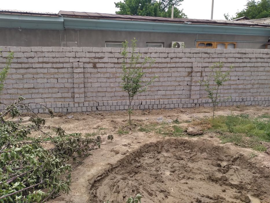 Олмазор туман Узум боґ куча (Охунбобоев) йу́лни юзида участка