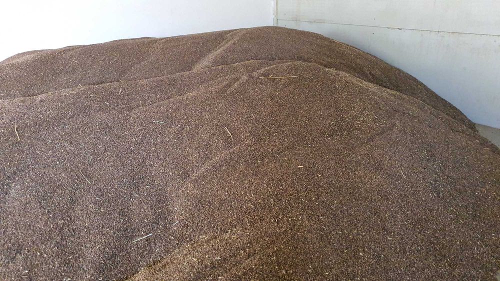 Secara panificatie ,ovaz negru , calitatea I !