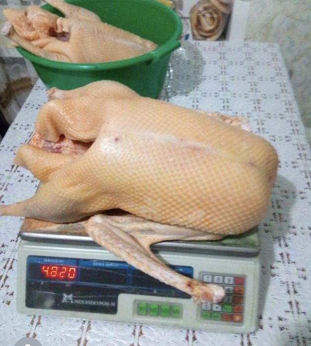 Мясо молодых гусей