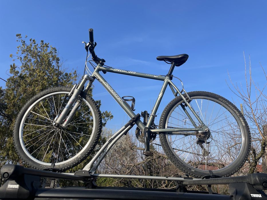 RETRO MTB: Specialized Rockhopper (L)