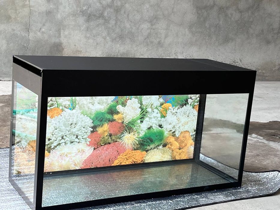 Akvarium 200 Litrli