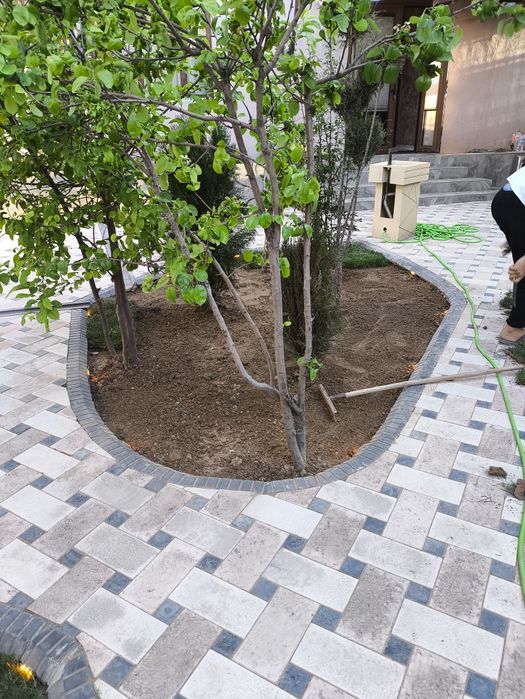 Газон екиш  таййор ва уруґдан