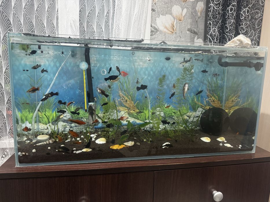 Продам аквариум срочно………