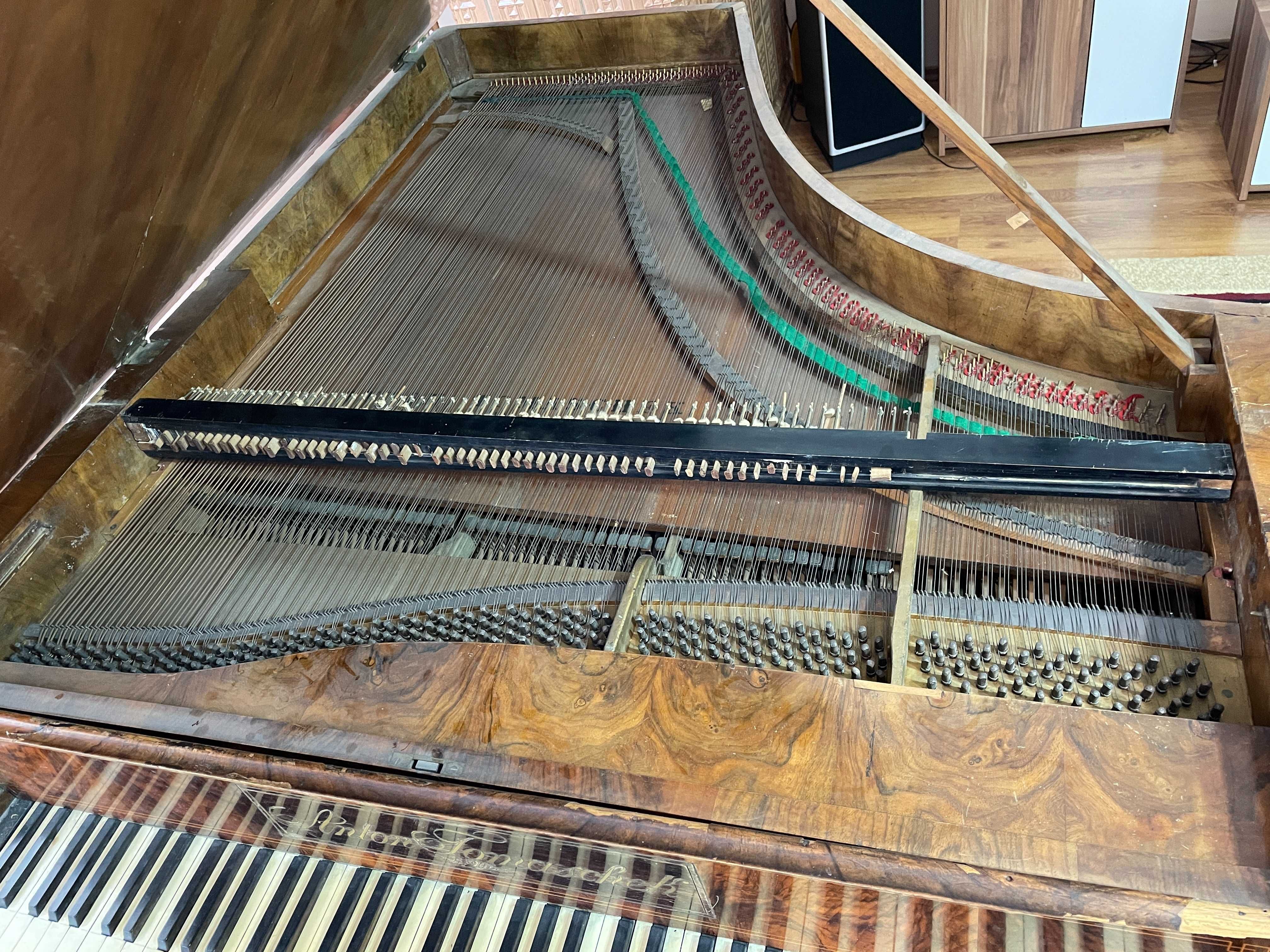 Vand pian Vienez vechi extrem de rar Piano AntonTomaschek seria no 938