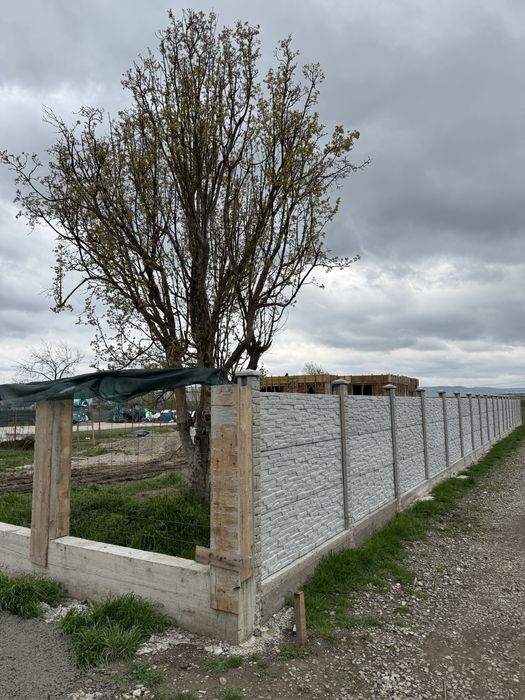 Casa de vanzare Letea Veche