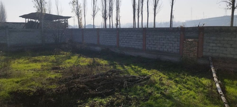 Андижан Храбек 6 сотих