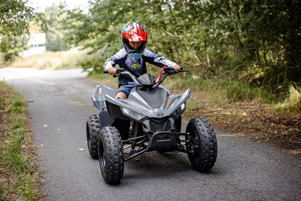 Linhai 110 nou 0 km cu precomanda