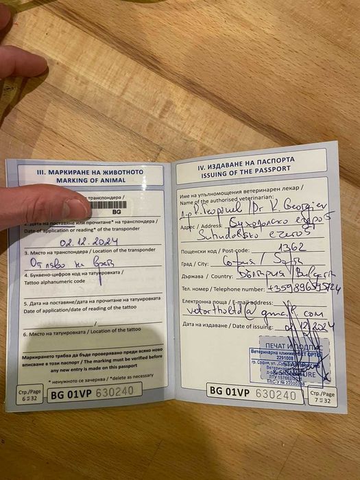 Куче Чейс си търси дом