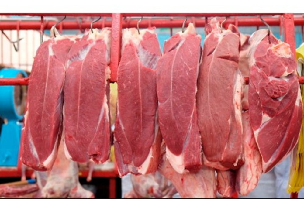 Gosht mol qoy maxsulotlari dostavka xizmati bilan