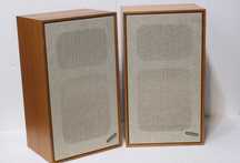 Boxe Pioneer CS-E300(2x30W).