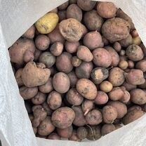 Продам картошку мелкую