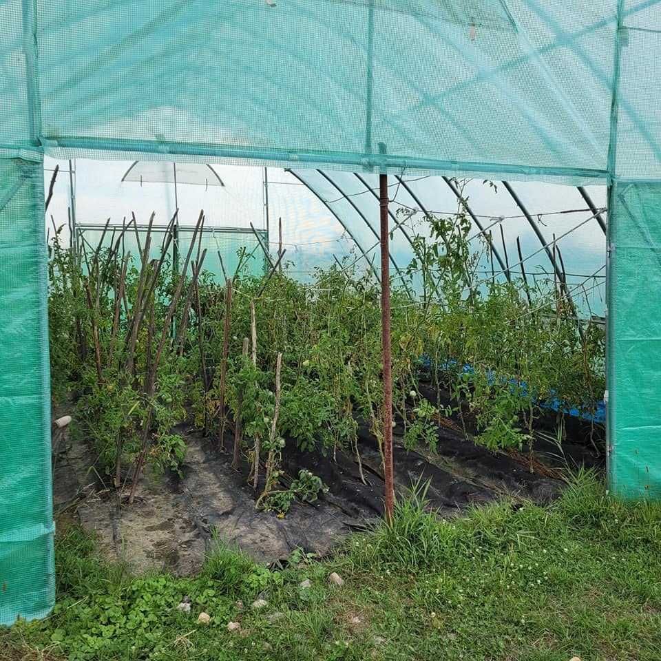 Solar/Sera de Gradina cu teava galvanizata/2x2-8x20m LG