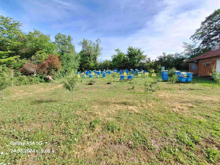 Къща/вила/пчелин с 1151 кв.м земя