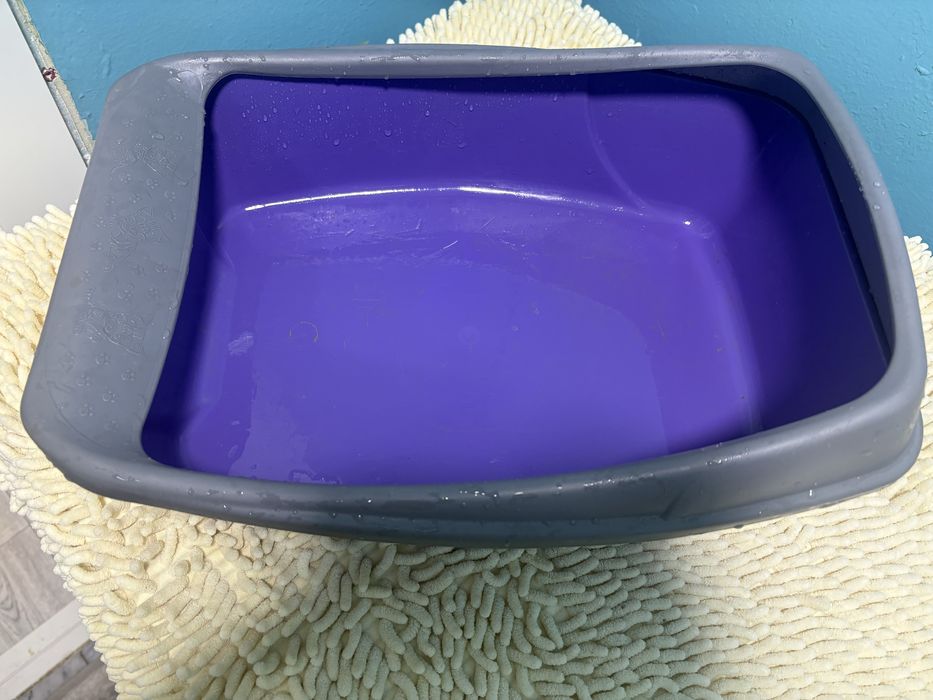 Лоток для кошек б/у