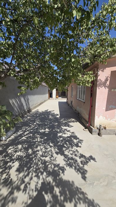 Vayenni garadokdan 6sotoxli shinam xovli,rasmdagi narsalari bn