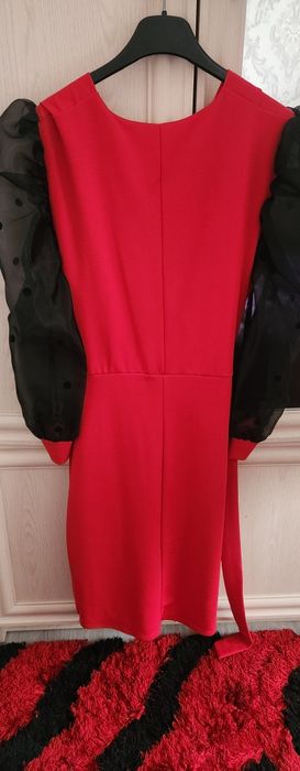 Rochita eleganta    .