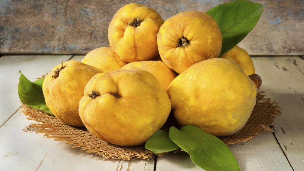 Айва, ароматная, полезная.