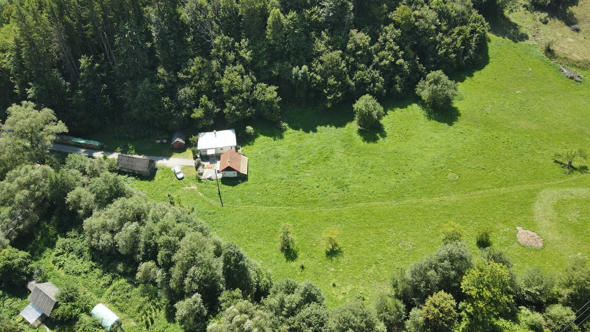 Teren 2,5 ha + casă locuibilă – Ciuruleasa, Munții Apuseni, jud. Alba