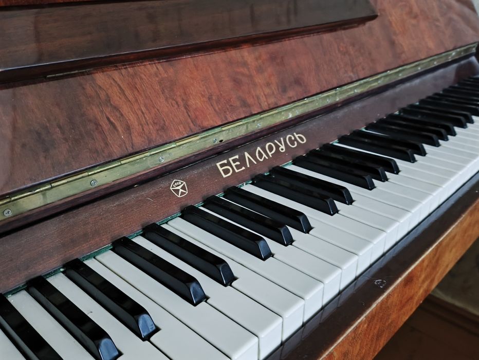 Беларусь pianinosi
