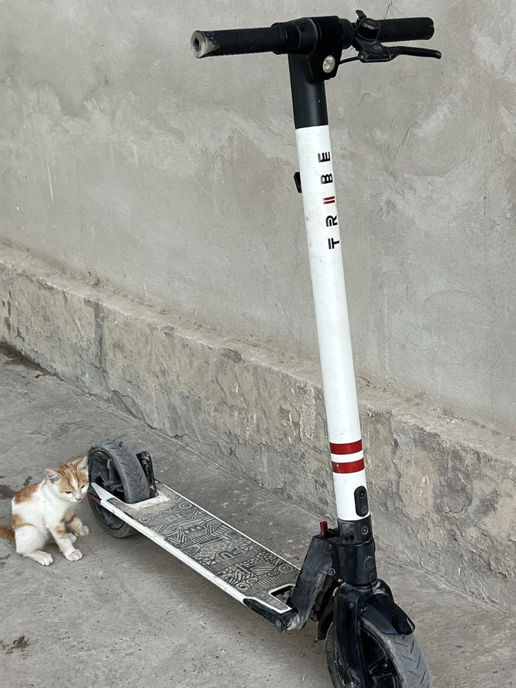 Elektroniy samakat