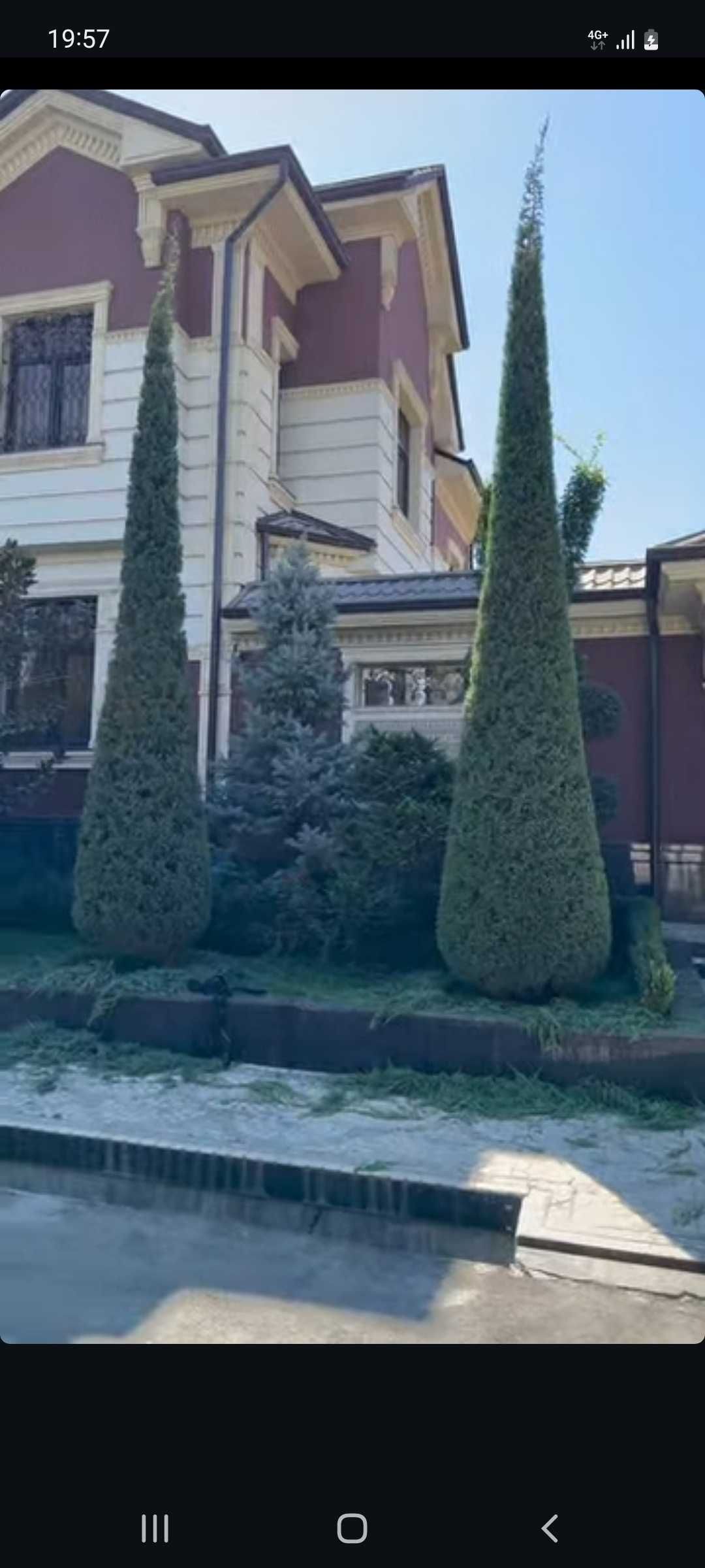 Archa va daraxtlarni kimyoviy dorilash,kesish,shakil berish,bog'bonlik