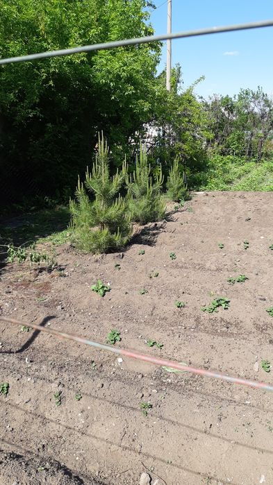 Продам участок 6 соток