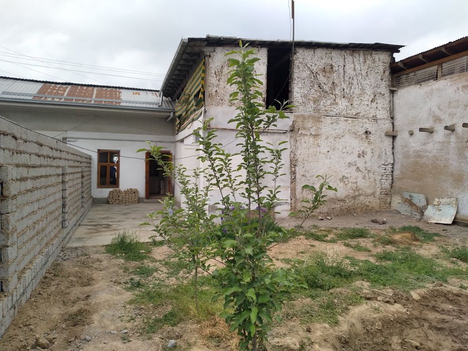 Олмазор туман Узум боґ куча (Охунбобоев) йу́лни юзида участка