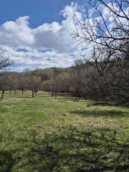Teren extravilan zona de deal, 12 ha