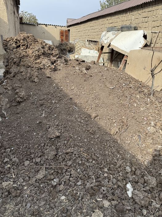 Пори, гунг, нури