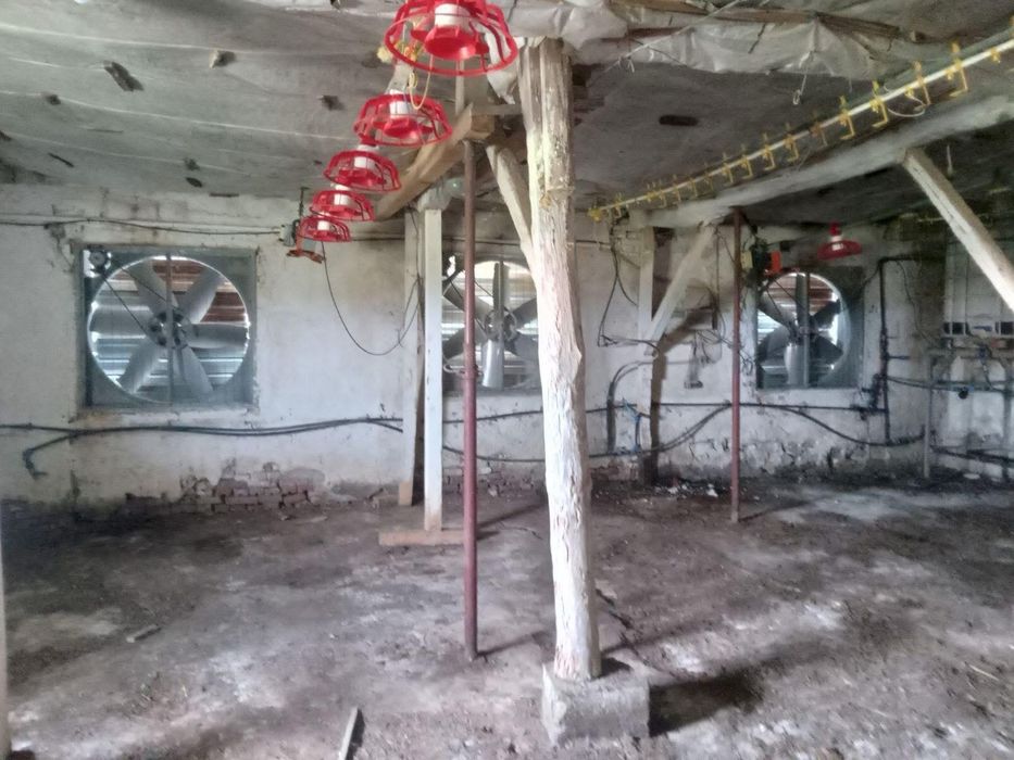 Продава се Промишлена сграда в с. Овчарово, Област Търговище - 640 кв.м за 63 €/кв.м - Снимка #2