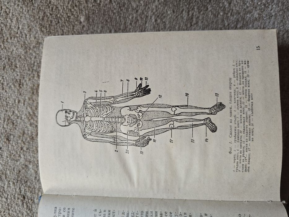 Учебно пособие за подготовка на медицински сестри