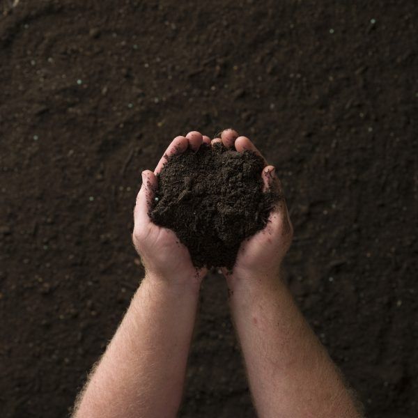Pamant negru de gradina / pamant vegetal / mranita / bălegar gradina