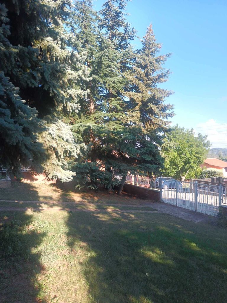 Продава се Къща в с. Борилово, Област Стара Загора - 250 кв.м за 1064 €/кв.м - Снимка #6