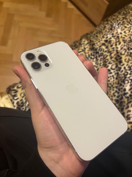 iphone 12 pro silver