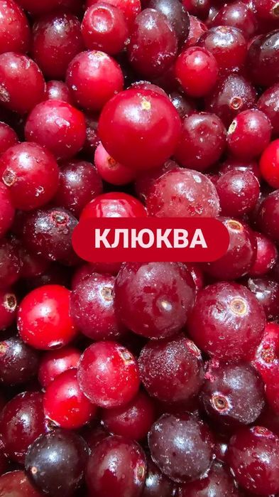 Клюква приз из России лечебные