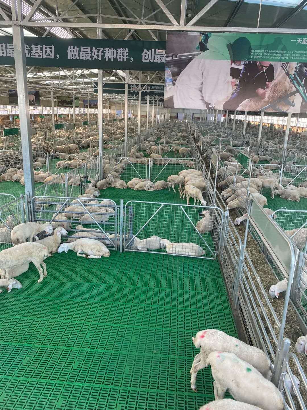 Молхона учун пластмасс пол