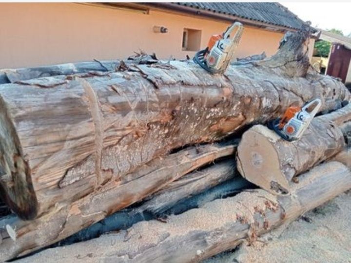 Lemne drujbist taiem